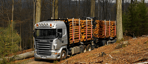 перевозка леса автотранспортом